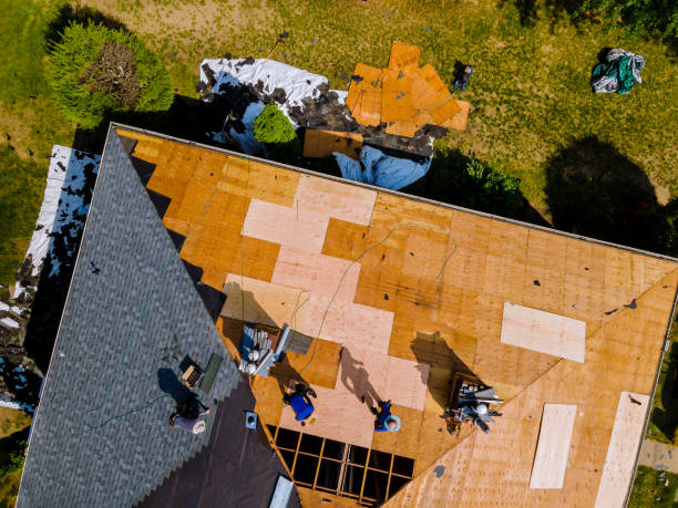 Trusted Hartselle, AL Roofing Contractor Experts