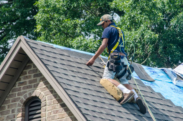 Best Roof Restoration Services  in Hartselle, AL