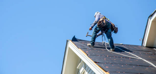 Best Roof Leak Repair  in Hartselle, AL